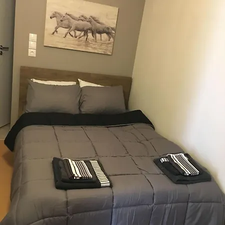 Apartment New Center
